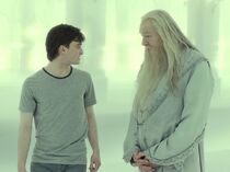 Harry Dumbledore limbo