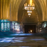 Room Of Requirement Harry Potter Wiki Fandom