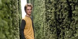 Diggory Cedric su Harry Potter Enciclopedia -  by HarryWeb.Net