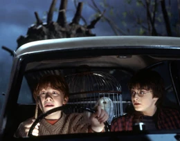 Harry-and-ron-crash-into-the-whomping-willow-1050x0-c-default