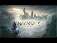 Hogwarts Legacy - The Room of Requirement - J Scott Rakozy - WaterTower