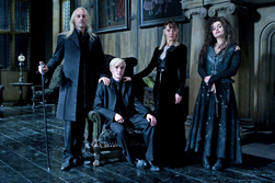 DH1 The Malfoy Family