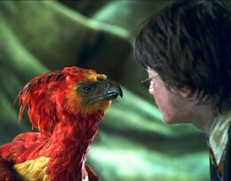 Harry-and-fawkes-1050x0-c-default