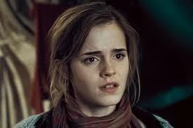 Hermione Granger Wiki Harry Potter Fandom