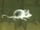 IllyiusMousePatronus.png