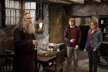 Ron, Hermiona i Aberforth