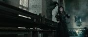 Scarpotter-hp7-2-trailer1-116.jpg