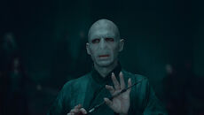 ニワトコの杖 Harry Potter Wiki Fandom