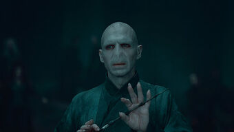 ニワトコの杖 Harry Potter Wiki Fandom ニワトコの杖 Harry Potter Wiki Fandom