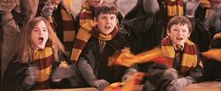 Harry-potter1-Quidditch cheering