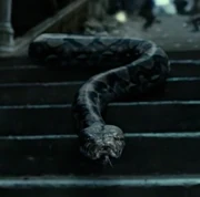 The animated Nagini as a Reticulated Python