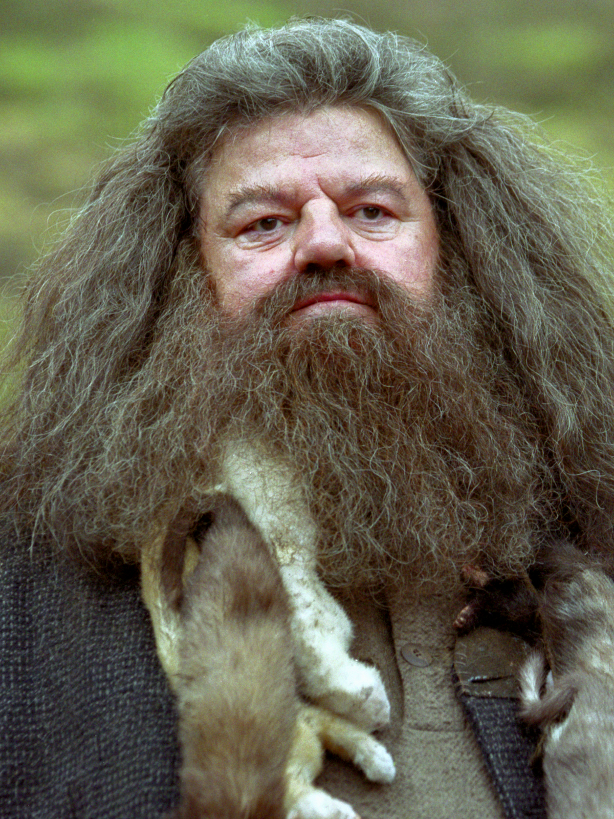  Rubeus Hagrid with The Leaky Cauldron : Home & Kitchen