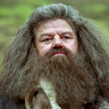 Rubeus Hagrid Harry Potter Wiki Fandom Rubeus Hagrid Harry Potter Wiki Fandom