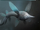 Secondary