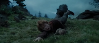 Sirius Black Attacking Ron.png