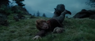 Sirius Black Attacking Ron