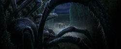 B4C31M1 Acromantula