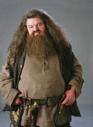 HAGRID RUBEUS HAGRID