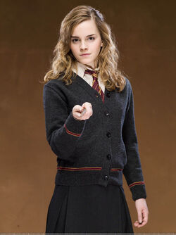 Hermione-Granger-harry-potter-18062494-599-800