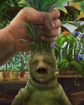 Mandragore Wiki Harry Potter Fandom Mandragore Wiki Harry Potter Fandom