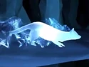 Mink Patronus.png (172 KB) Mink