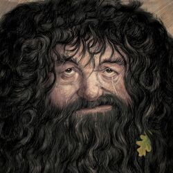Hagrid.jpeg