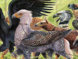 Hippogriff