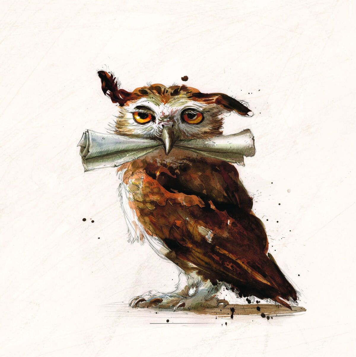 Owls, Pottermore Wiki