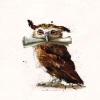 DeliveryOwl.jpeg