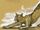 Wampus Cat