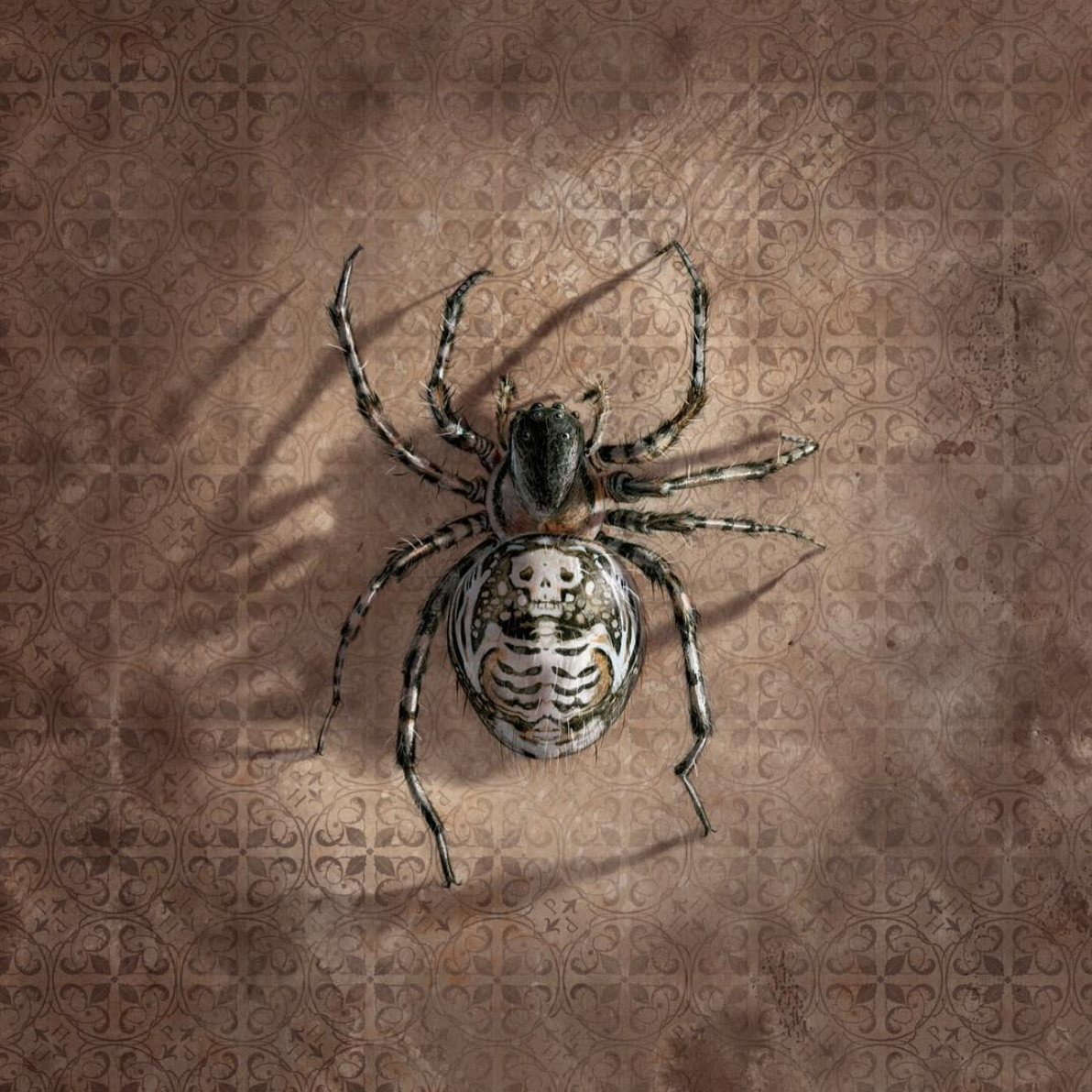 harry potter and the chamber of secrets spider