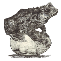 BasiliskEgg