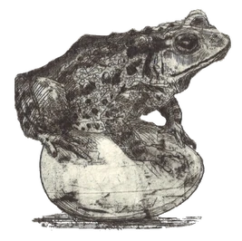 BasiliskEgg