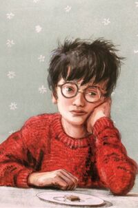 Harry during summer 1992