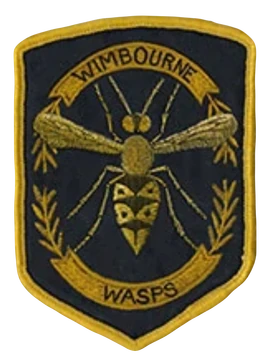 Wimbourne Wasps