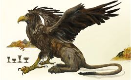 Griffin
