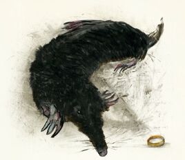 Niffler