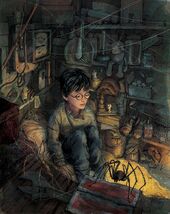 Cupboard Under the Stairs - PS Illustrated