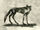Werewolf