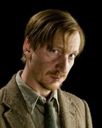 Remus Lupin Wr Harry Potter Fanon Wiki Fandom