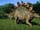 Stegosaurus (Lord Caesar)