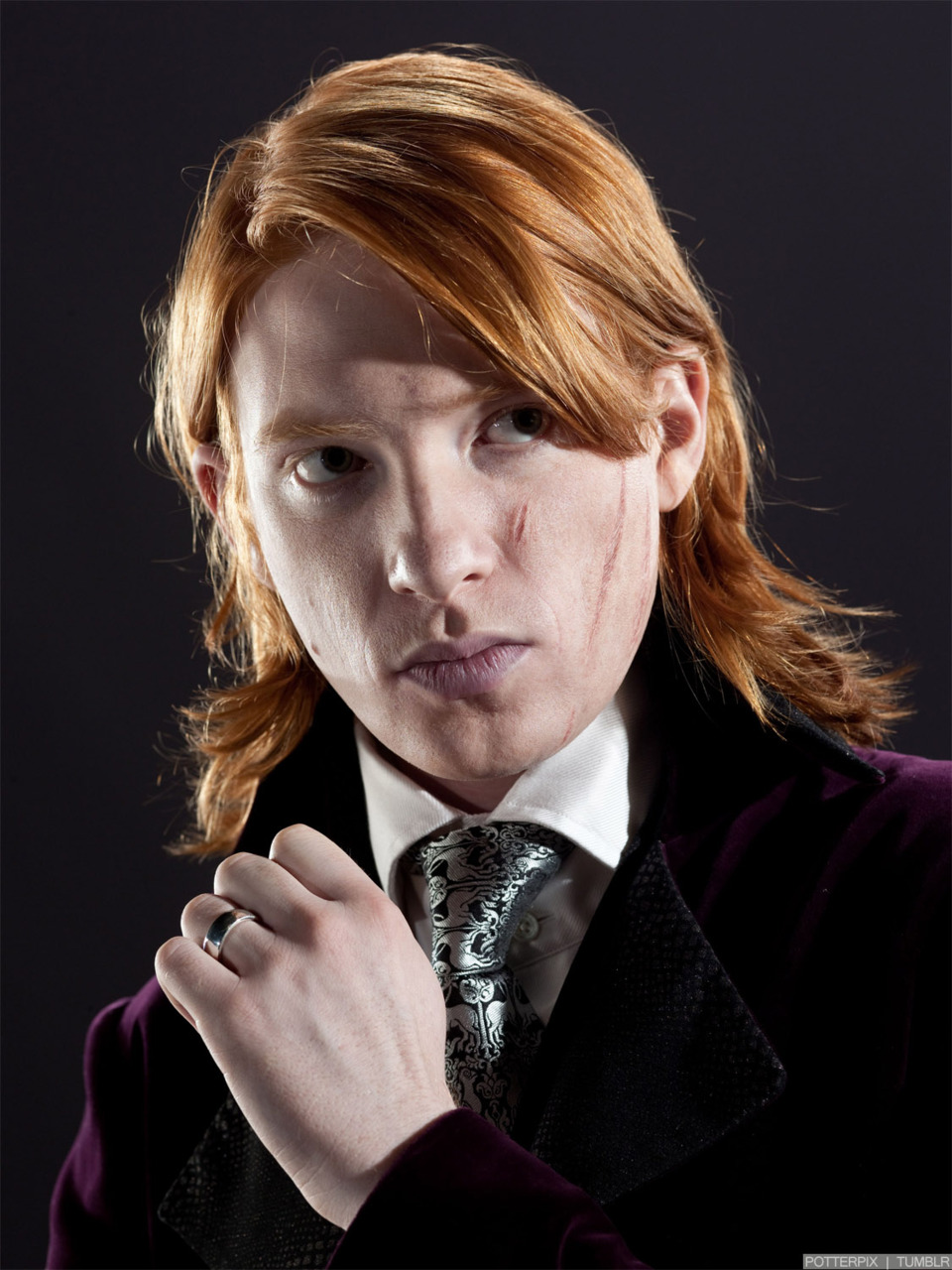 bill weasley harry potter