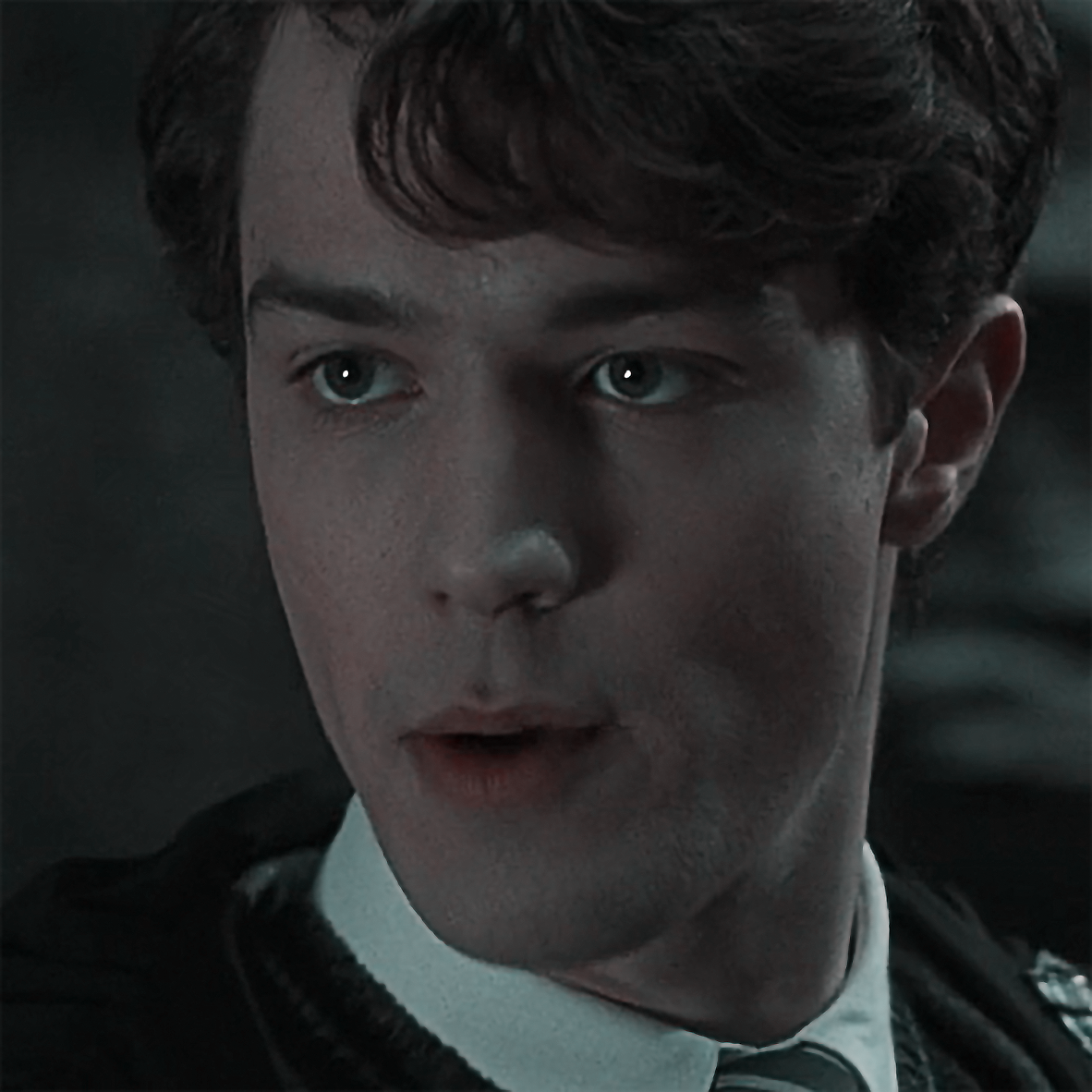 tom riddle and harry potter