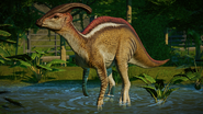 Parasaurolophus