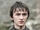 Bran Baratheon (Game of Thrones)