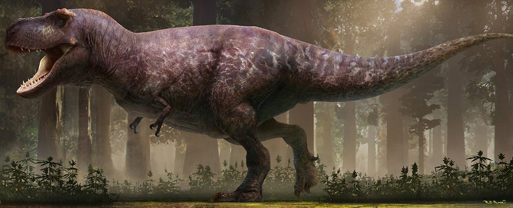 The T.rex was a massive coward – and we have the footage to prove it - BBC  Science Focus Magazine