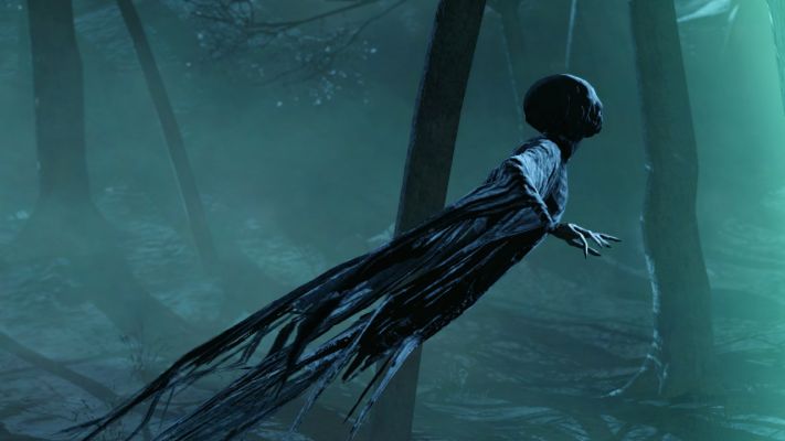 Dementor (Shadow North) | Harry Potter Fanon Wiki | Fandom