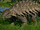 Ankylosaurus (Lord Caesar)