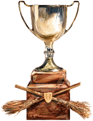 Quidditch World School Championship OccultaCreator Harry
