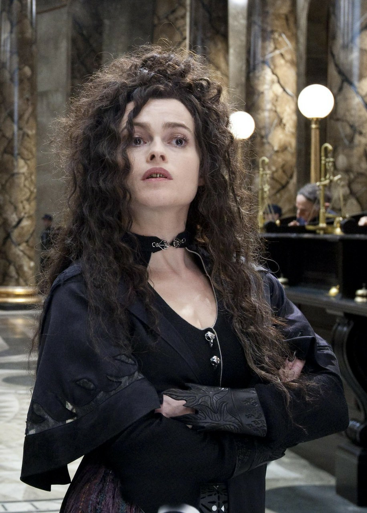 Bellatrix Lestrange  Costume Wonderland
